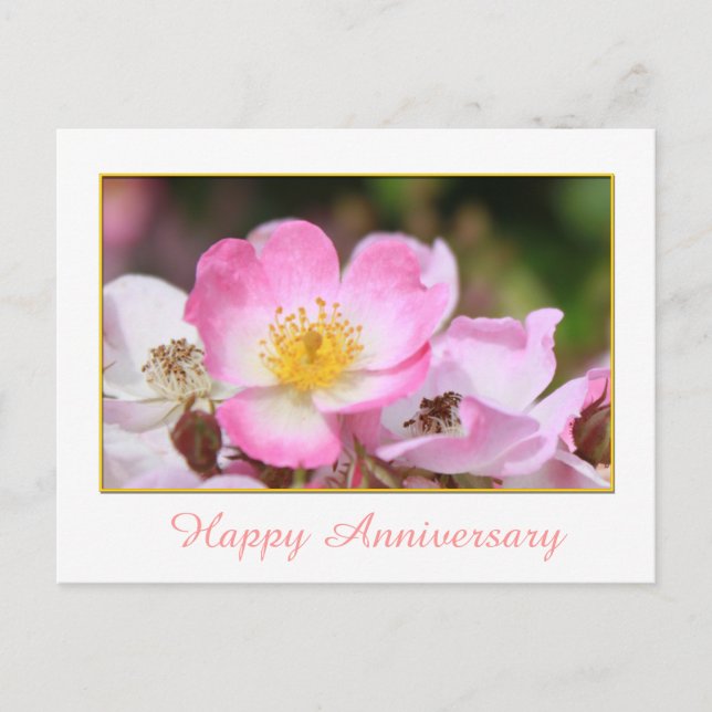 Postal bonito silvestre rosa rosa flor feliz aniversario (Anverso)