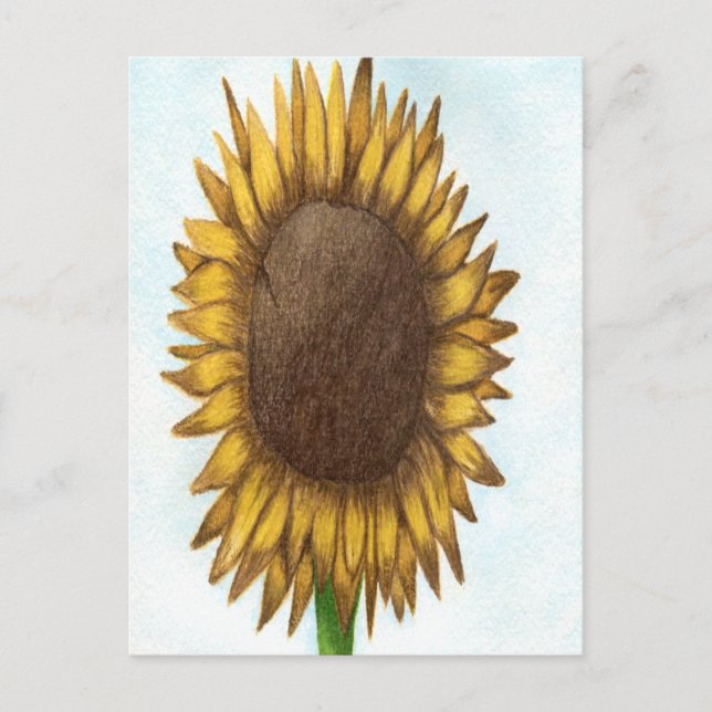 Postal Bonito Sunflower (Anverso)