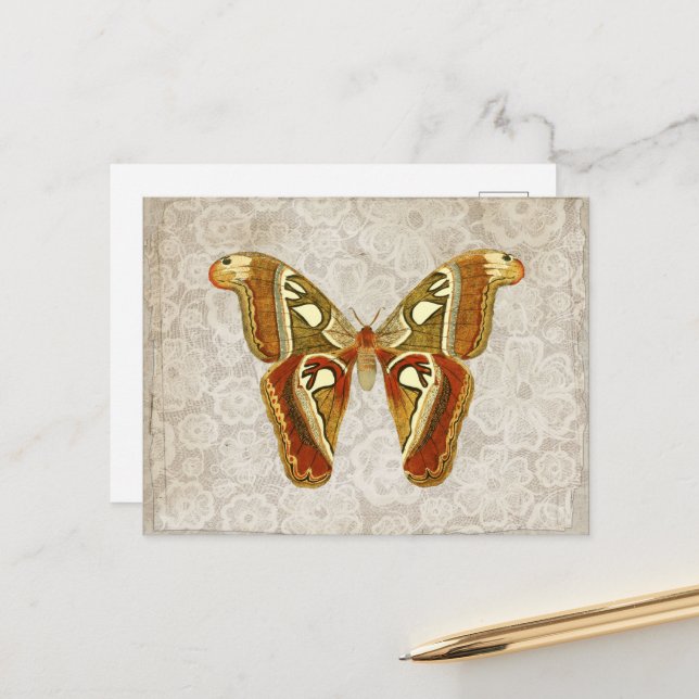 Postal Bonito Vintage Moth Botanical (Anverso/Reverso In Situ)