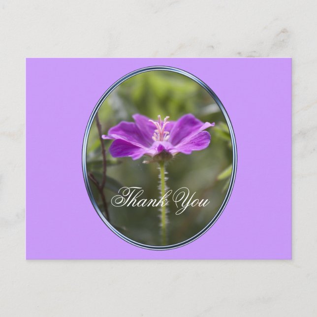 Postal Bonito y elegante flor de jardín púrpura gracias (Anverso)