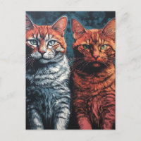 Bonitos gatos