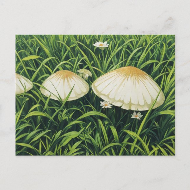 Postal Bonitos Mushrooms (Anverso)