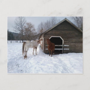 Postal Bonnie y Clyde