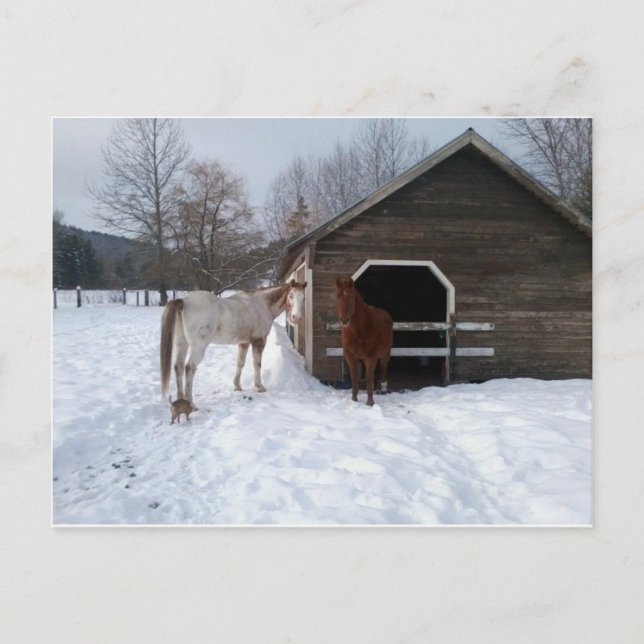 Postal Bonnie y Clyde (Anverso)