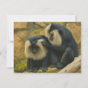 Postal Bono Macaco - Ritual de Grooming