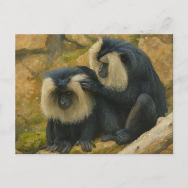 Postal Bono Macaco - Ritual de Grooming (Anverso)