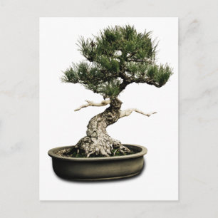 Postal Bonsai