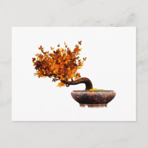 Postal Bonsai 2