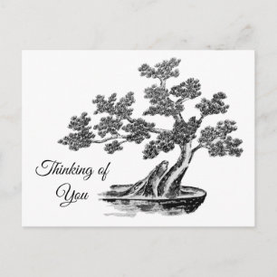 Postal Bonsai - Estilo chino - blanco y negro