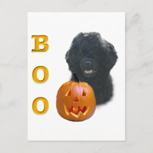 Postal Boo de perro de agua portugués