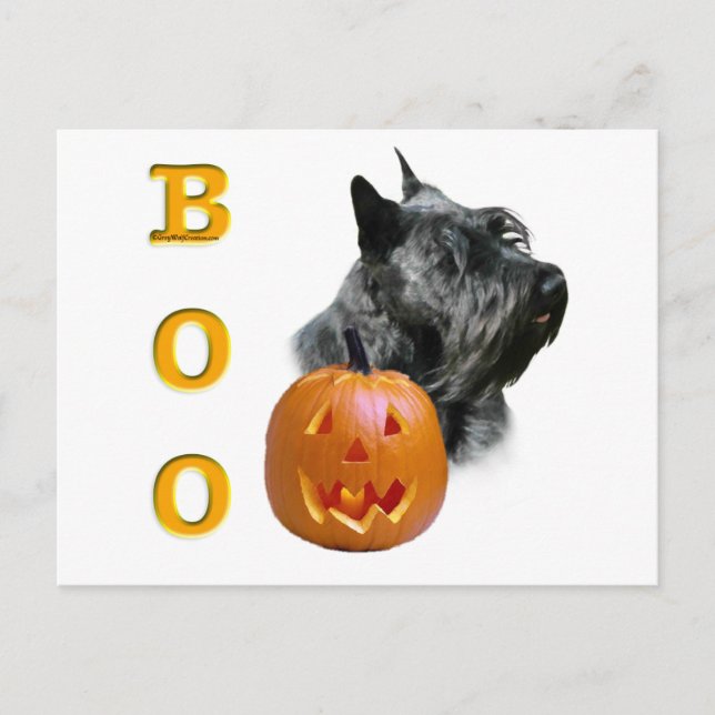 Postal Boo de Scottish Terrier (negro) (Anverso)