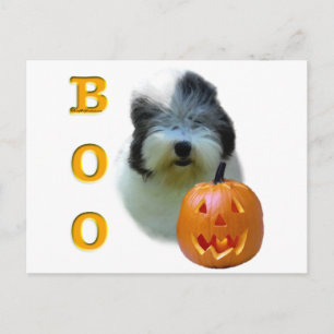 Postal Boo de Sheepdog Inglés Viejo