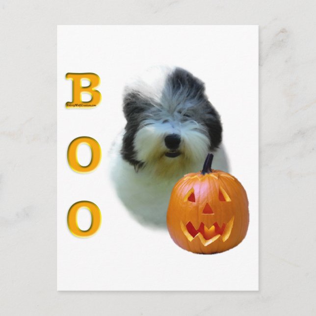 Postal Boo de Sheepdog Inglés Viejo (Anverso)