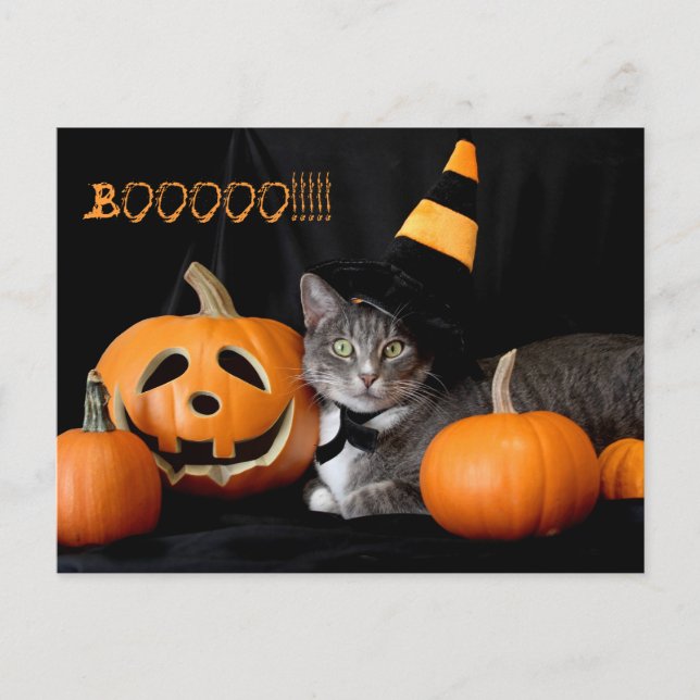 Postal Boo Halloween con gato (Anverso)