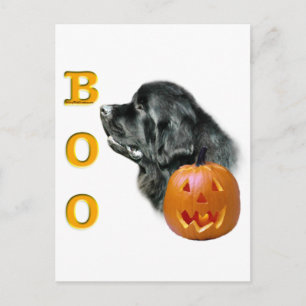 Postal Boo negro de Terranova