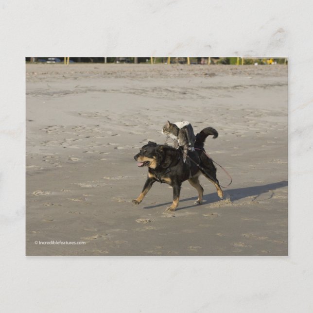 Postal Booger, Kitty y Mousey en la playa (Anverso)