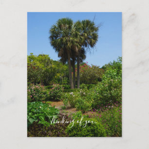 Postal Boone Hall Garden Pensando En Tu Postcard