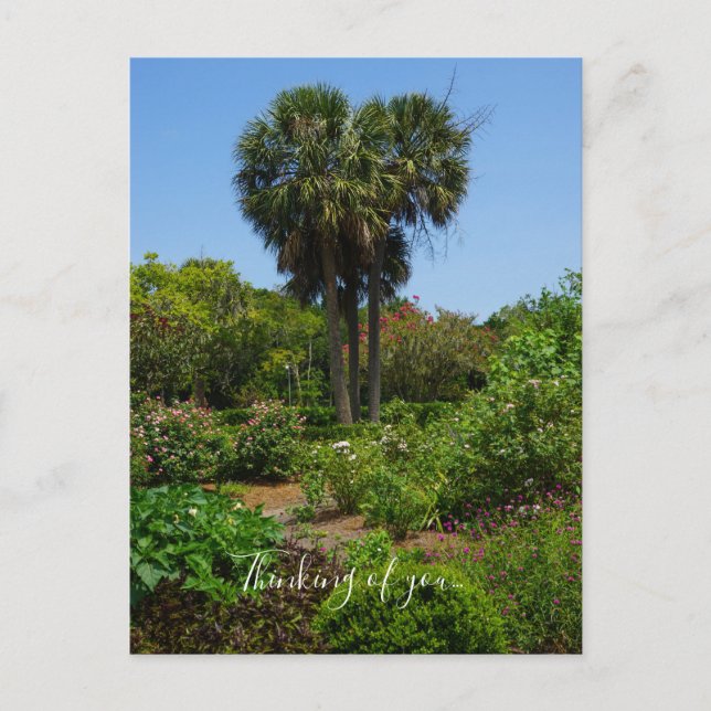 Postal Boone Hall Garden Pensando En Tu Postcard (Anverso)