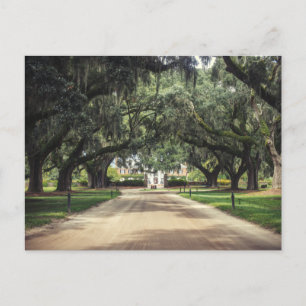 Postal Boone Hall Oaks