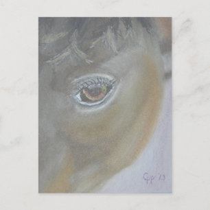Postal Boost My Ego - Pintura de caballos