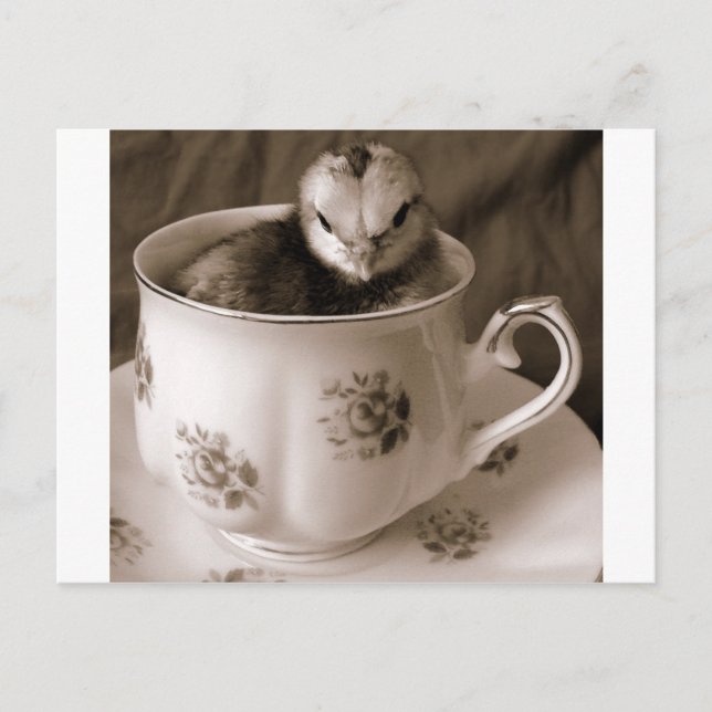 Postal Boots En Una Taza De Té (Anverso)