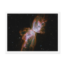 Borde blanco de nebulosa de mariposa