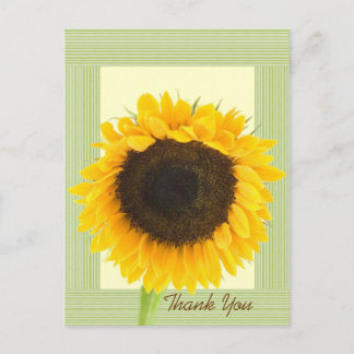 Postal Borde de franja de agradecimiento de girasol