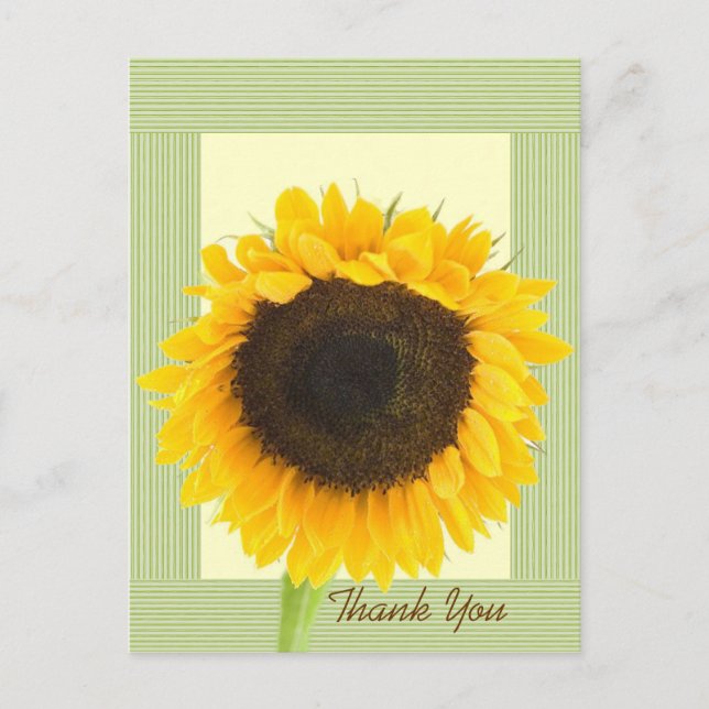 Postal Borde de franja de agradecimiento de girasol (Anverso)