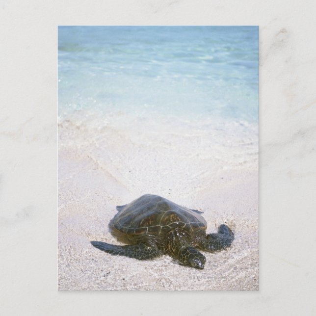 Postal Borde del agua (Anverso)