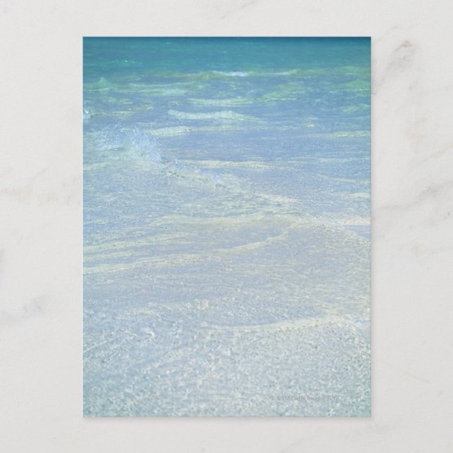 Postal Borde del agua 2 (Anverso)