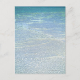 Postal Borde del agua 2