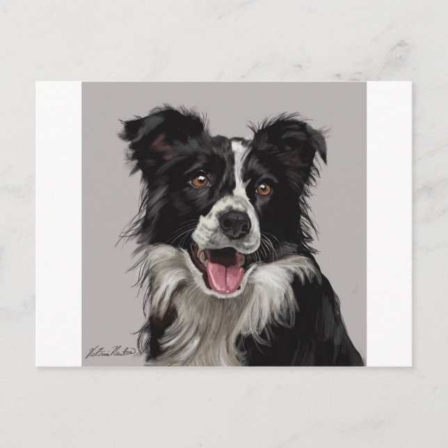 Postal Border collie (Anverso)