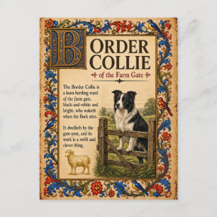 Postal Border Collie, Arte de Bestiario Medieval
