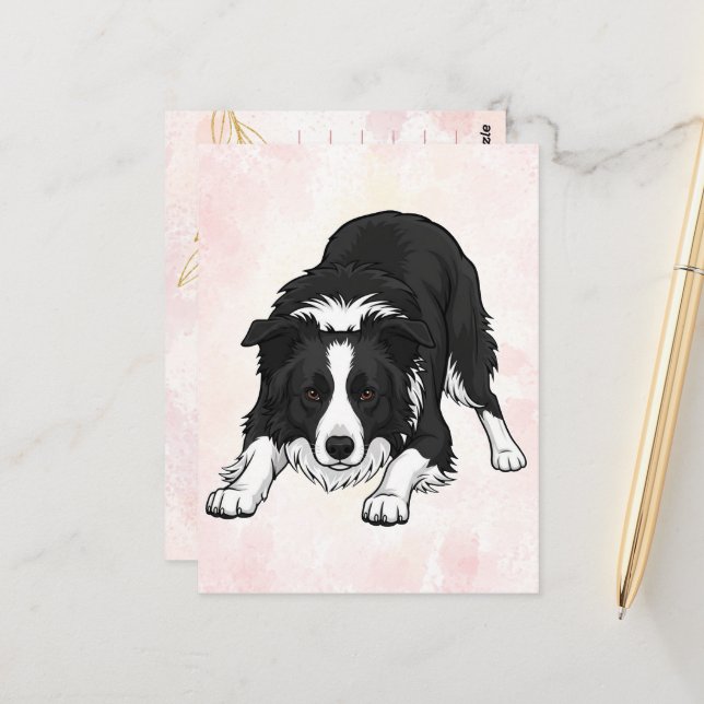 Postal Border Collie Dog Greeting Card (Anverso/Reverso In Situ)