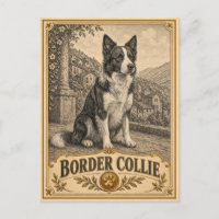Border Collie, Perro Patrimonio Vintage