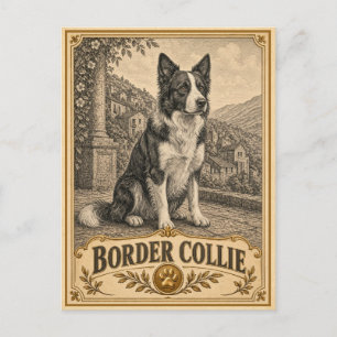 Postal Border Collie, Perro Patrimonio Vintage