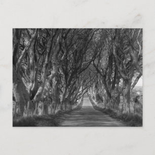 Postal Bordes oscuros en blanco y negro