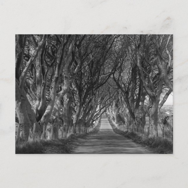 Postal Bordes oscuros en blanco y negro (Anverso)