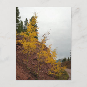 Postal boreas pass aspens