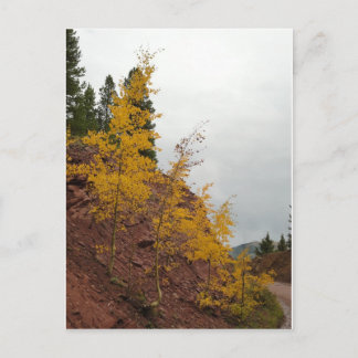 Postal boreas pass aspens
