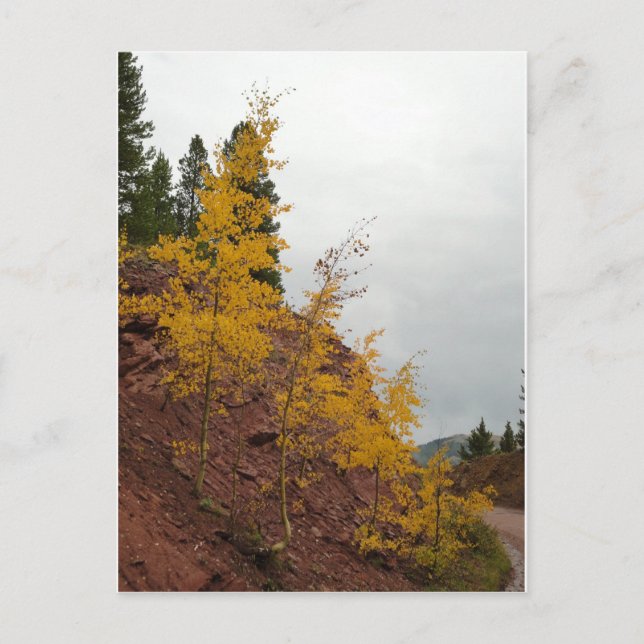 Postal boreas pass aspens (Anverso)