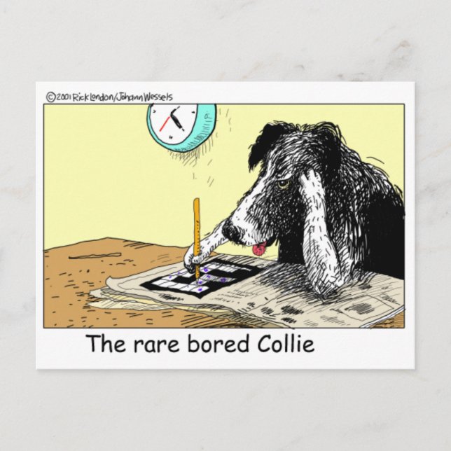 Postal Bored Border Collie Funny Gifts Tees Colectibles (Anverso)