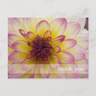 Postal Borgoña, dahlia amarilla y blanca