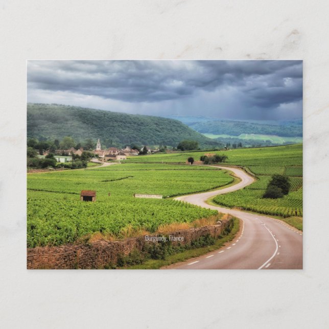 Postal Borgoña, viñedos de Francia, (Anverso)