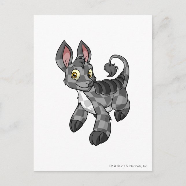 Postal Bori Checkered (Anverso)