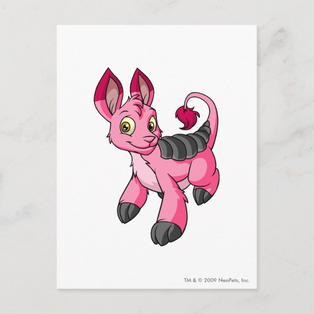 Postal Bori Pink (Anverso)