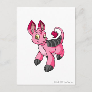 Postal Bori Pink