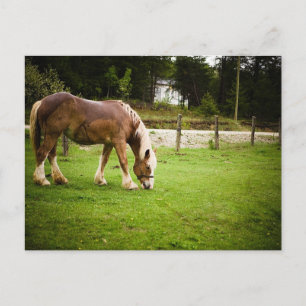 Postal Borrador de barrido después de la baño
