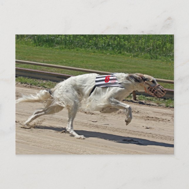 Postal borzoi (Anverso)