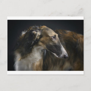 Postal borzoi